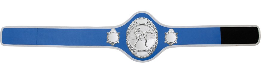 THAI BOXING CHAMPIONSHIP BELT-PRO286/S/TBOS-10+ COLOURS